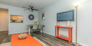 The Solana Vista Gallery 15