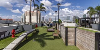 500 Harbour Island Gallery 45