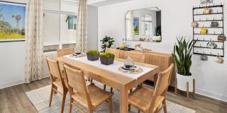 Homecoming at The Preserve Gallery 15