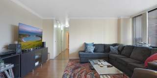 1555 N Sandburg Terrace Gallery 4