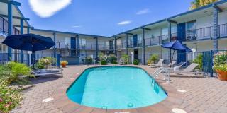 Rise Biltmore Gallery 55