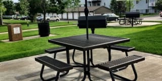 Prairie Tree Gallery 10