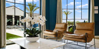 Yardly at Verrado Gallery 29