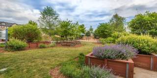 22527 FOUNDATION Drive Gallery 52