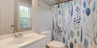 1029 Maxcy Street Gallery 12