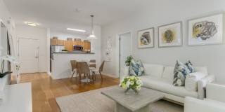 Pier Village Gallery 8