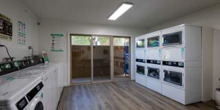 Volterra at La Mesa Gallery 104