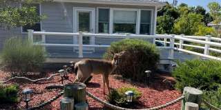 45 Beachwold Gallery 1