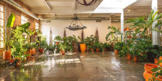 114 GREEN Lane Gallery 2