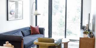 The Olive The Olive Gallery 30