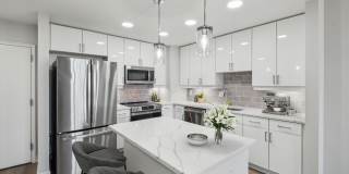 Senate Square Gallery 2