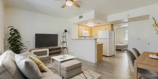 Rise Canyon West Gallery 14