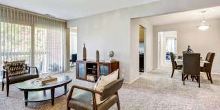 Cinnamon Run at Peppertree Farm Gallery 15