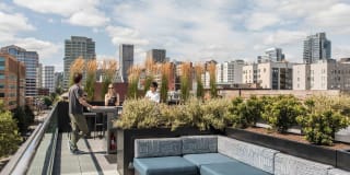 230 Ash Gallery 17