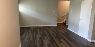 Avaya Garland Gallery 20