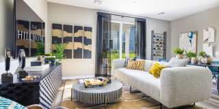 The Hillmont Gallery 33