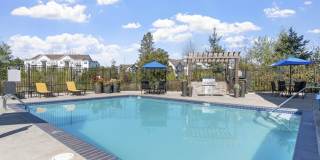 Element 170 Gallery 3