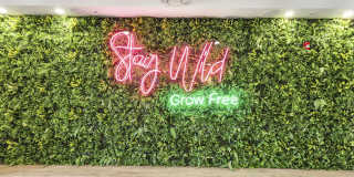 Red Road Commons Gallery 7