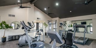 Treehouse Apartments Gallery 33