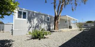 AVAILBLE NOW!!! 3 Bedroom 1 Bathroom Recently Updated Home in Thousand Palms! Gallery 1