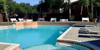 The Daphne Apartments Gallery 2