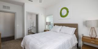 Arlow at Blue Ridge Gallery 14