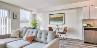 Angeline Gallery 7