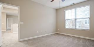 5137 Foxtail Pine Street Gallery 29