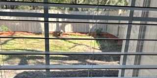 3421 N Carnation Court Gallery 18