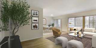 Halpine View Gallery 15