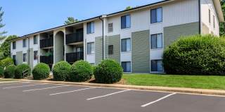 Walden Pond Gallery 19