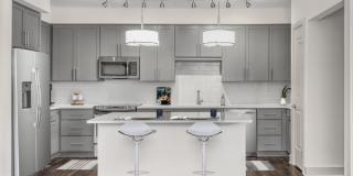 Camden Carolinian Gallery 2