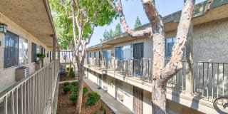 Monterey Apartments Gallery 10