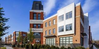 The Piermont Gallery 19