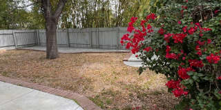 Newbury Park - Three bedroom, bonus room (could be 4th bedroom, 2.5 bathrooms Gallery 14