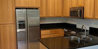 Stylish Willow Glen Townhome with Dual Master Suites, High Ceilings  Modern Upgrades! Gallery 1