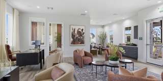 YardHomes Spring West Gallery 52