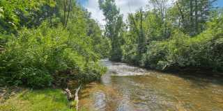 Rochester Square Gallery 42