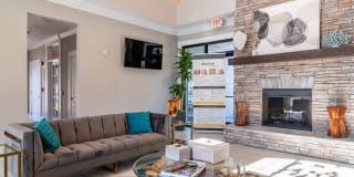 Evergreen Terrace Gallery 26