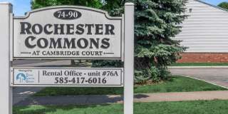 Rochester Commons Gallery 3