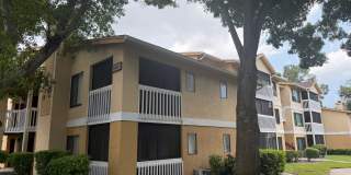 Belleair Village Condo 1/1 Open floor plan Belleair Village Condo 1/1 Open floor plan Gallery 1