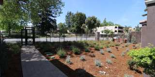 Ramblewood Apartments Gallery 21