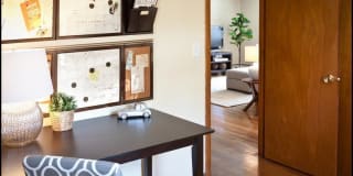 Mill Street Gardens Gallery 5