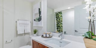 Bell Sunrise Bell Sunrise Gallery 9