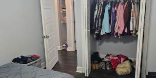 -- -- Gallery 19