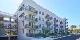 The Willows Gallery 14