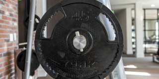 Alta Longwood Gallery 6