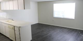 Beautiful large 2 bedroom 2 bath in New Port Richey Beautiful large 2 bedroom 2 bath in New Port Richey Gallery 8
