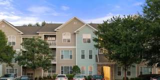 Creekside Vista Gallery 10