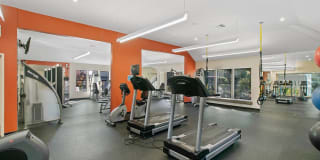 Elevation at Mountain Park Gallery 3